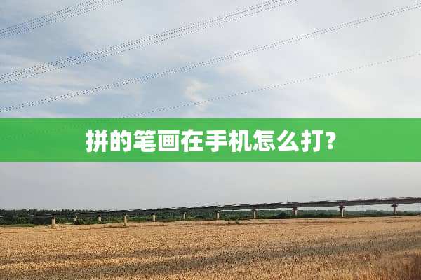 拼的笔画在手机怎么打？