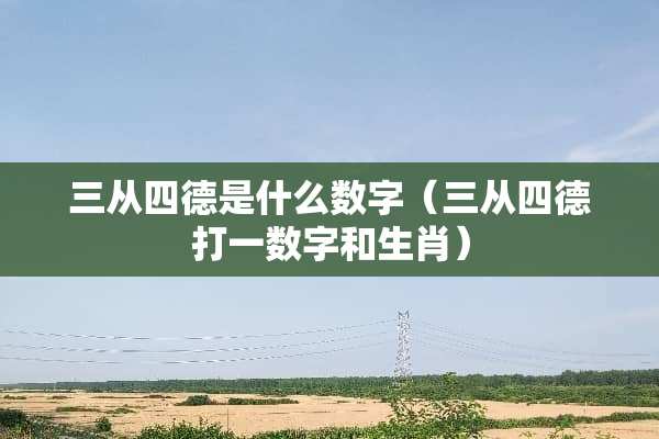 三从四德是什么数字（三从四德打一数字和生肖）