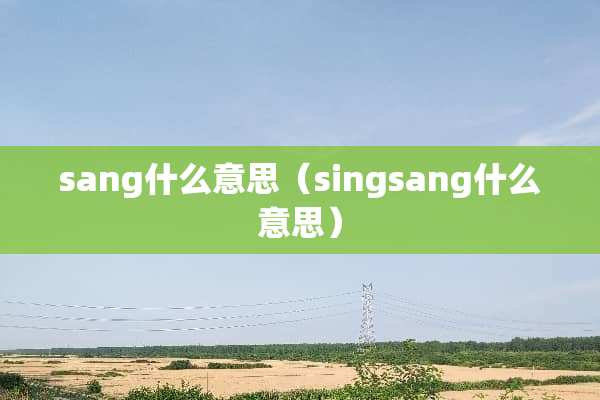 sang什么意思（singsang什么意思）