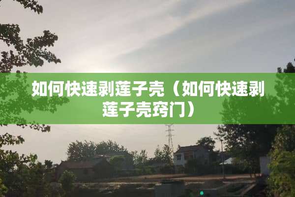 如何快速剥莲子壳（如何快速剥莲子壳窍门）
