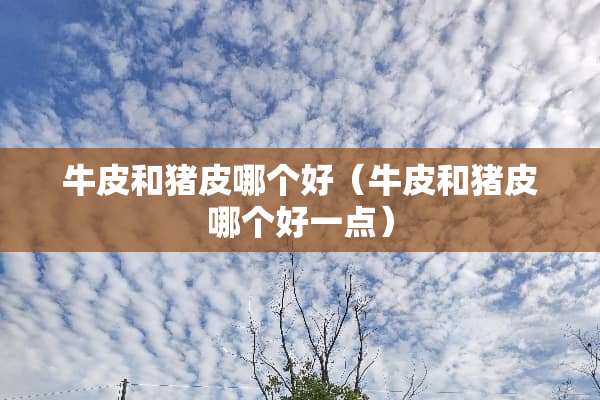 牛皮和猪皮哪个好（牛皮和猪皮哪个好一点）