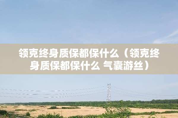 领克终身质保都保什么（领克终身质保都保什么 气囊游丝）