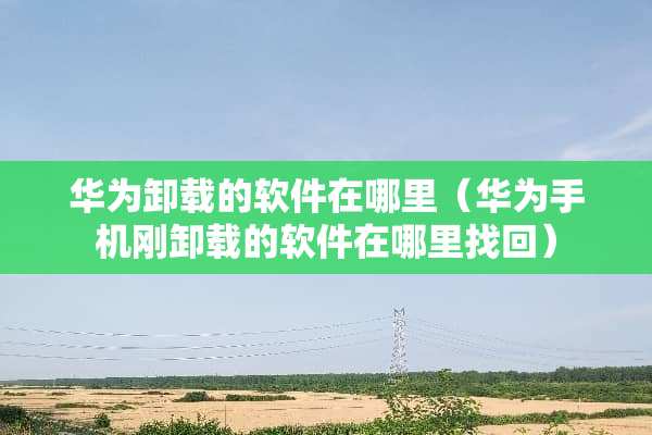 华为卸载的软件在哪里（华为手机刚卸载的软件在***回）