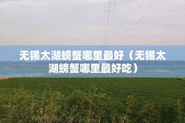 无锡太湖螃蟹哪里最好（无锡太湖螃蟹哪里最好吃）