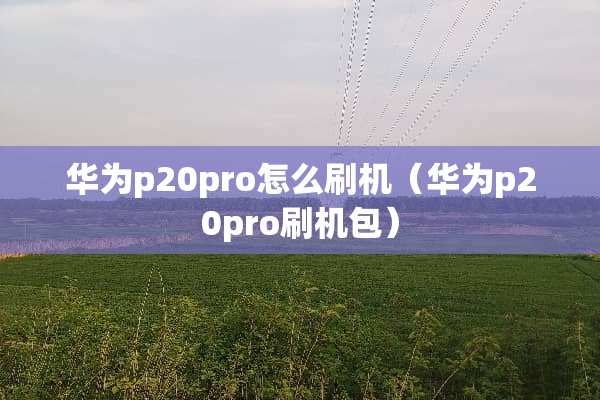 华为p20pro怎么刷机（华为p20pro刷机包）