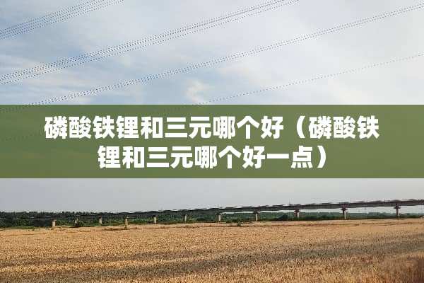 磷酸铁锂和三元哪个好（磷酸铁锂和三元哪个好一点）