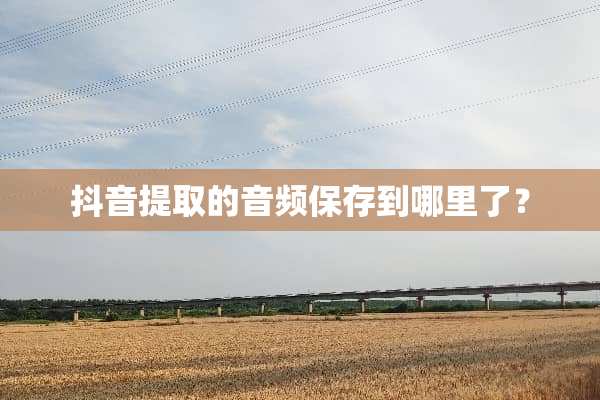 抖音提取的音频保存到哪里了？