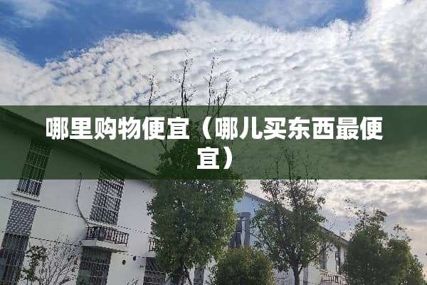 哪里购物便宜（哪儿买东西最便宜）