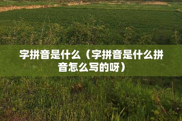 字拼音是什么（字拼音是什么拼音怎么写的呀）