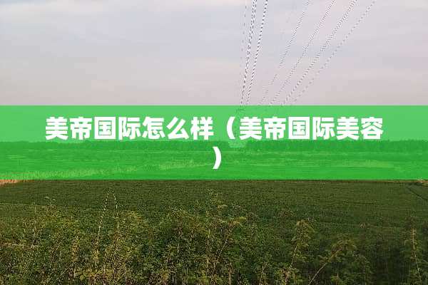 美帝国际怎么样（美帝国际美容）