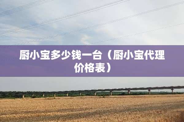 厨小宝多少钱一台（厨小宝代理价格表）