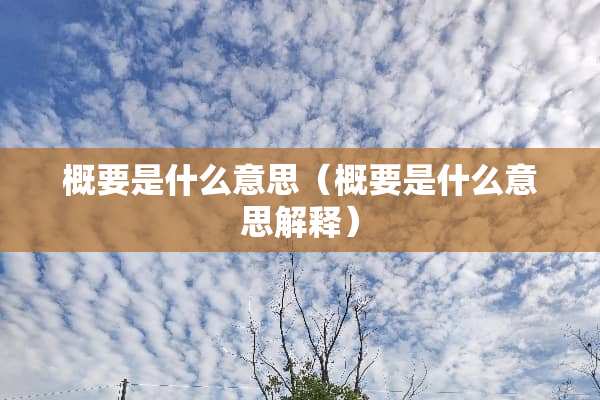 概要是什么意思（概要是什么意思解释）