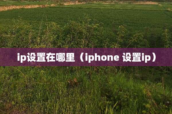 ip设置在哪里（iphone 设置ip）