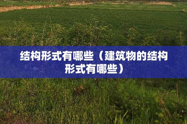 结构形式有哪些（建筑物的结构形式有哪些）