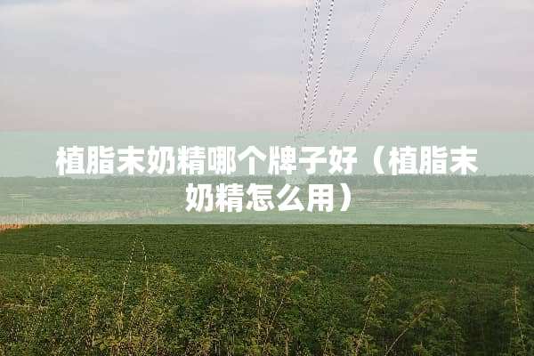 植脂末奶精哪个牌子好（植脂末奶精怎么用）
