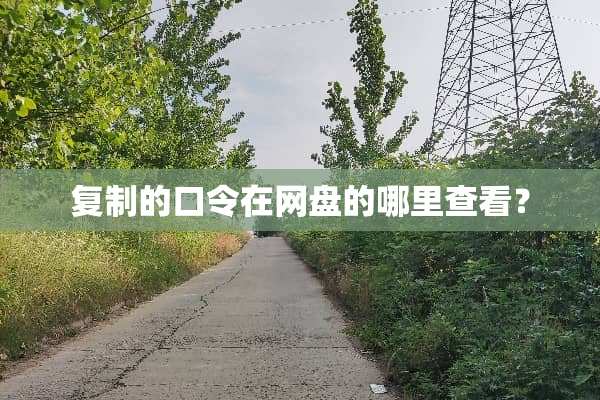 复制的口令在网盘的哪里查看？