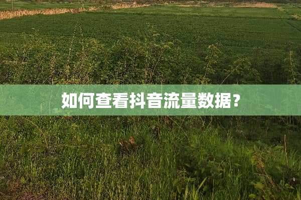 如何查看抖音流量数据？