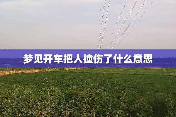 梦见开车把人撞伤了什么意思
