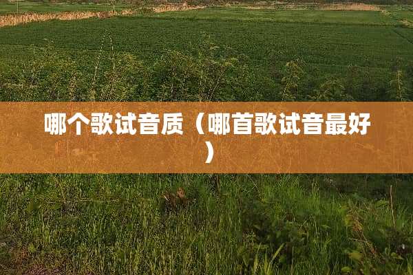 哪个歌试音质（哪首歌试音最好）