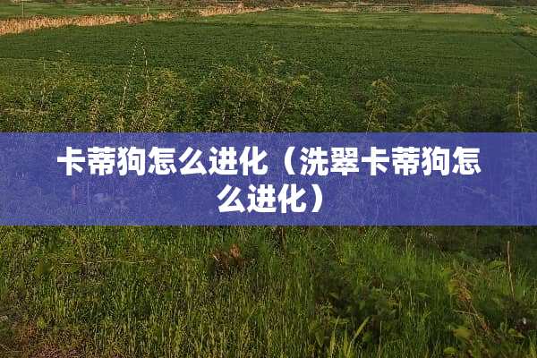 卡蒂狗怎么进化（洗翠卡蒂狗怎么进化）