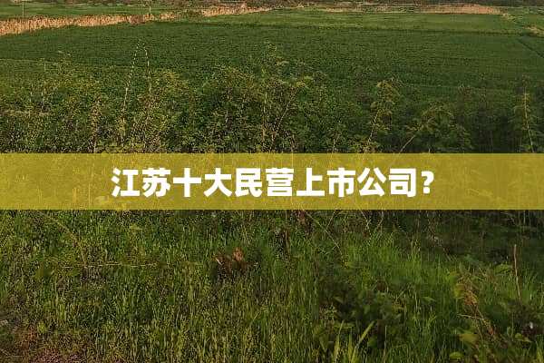 江苏十大民营上市公司？
