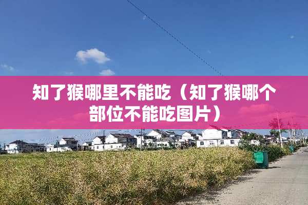 知了猴哪里不能吃（知了猴哪个部位不能吃图片）