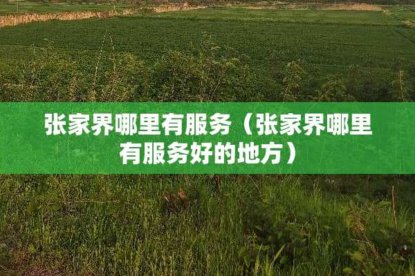 张家界哪里有服务（张家界哪里有服务好的地方）