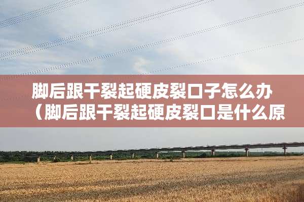 脚后跟干裂起硬皮裂口子怎么办（脚后跟干裂起硬皮裂口是什么原因）