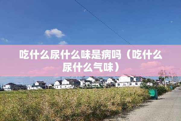 吃什么尿什么味是病吗（吃什么尿什么气味）