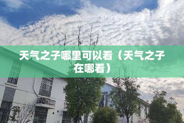 天气之子哪里可以看（天气之子在哪看）