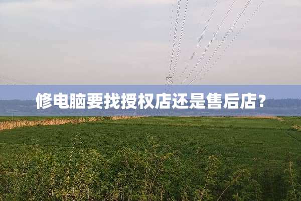 修电脑要找授权店还是售后店？