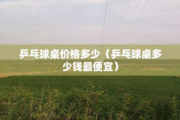 乒乓球桌价格多少（乒乓球桌多少钱最便宜）