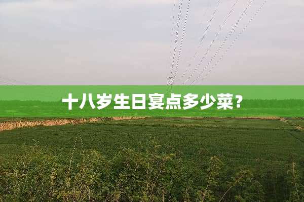 十八岁生日宴点多少菜？