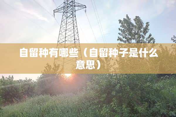 自留种有哪些（自留种子是什么意思）