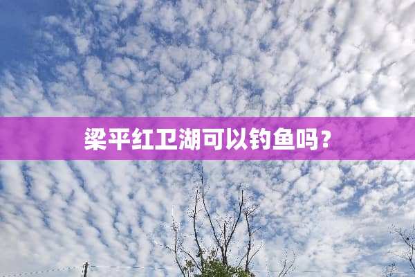 梁平红卫湖可以钓鱼吗？