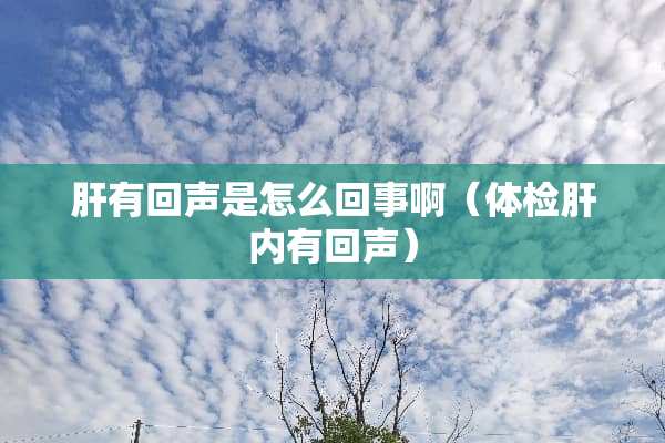 肝有回声是怎么回事啊（体检肝内有回声）
