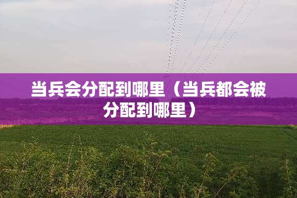 当兵会分配到哪里（当兵都会被分配到哪里）