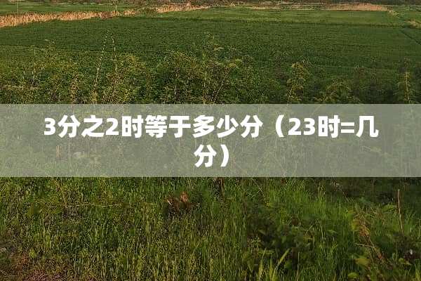 3分之2时等于多少分（23时=几分）