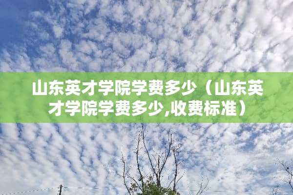 山东英才学院学费多少（山东英才学院学费多少,收费标准）
