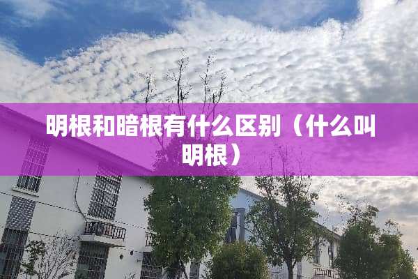 明根和暗根有什么区别（什么叫明根）