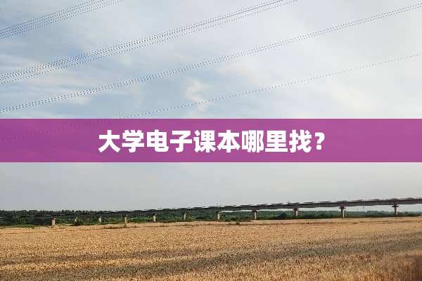 大学电子课本***？