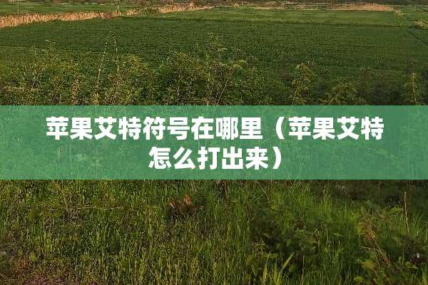 苹果艾特符号在哪里（苹果艾特怎么打出来）