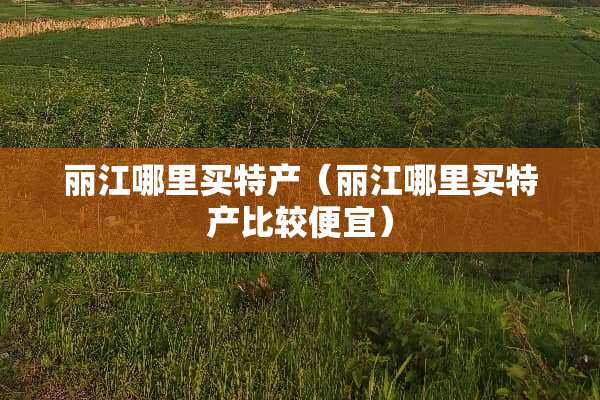 丽江哪里买特产（丽江哪里买特产比较便宜）