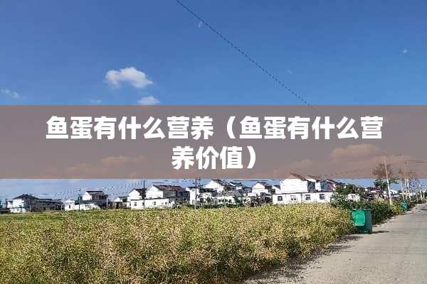 鱼蛋有什么营养（鱼蛋有什么营养价值）