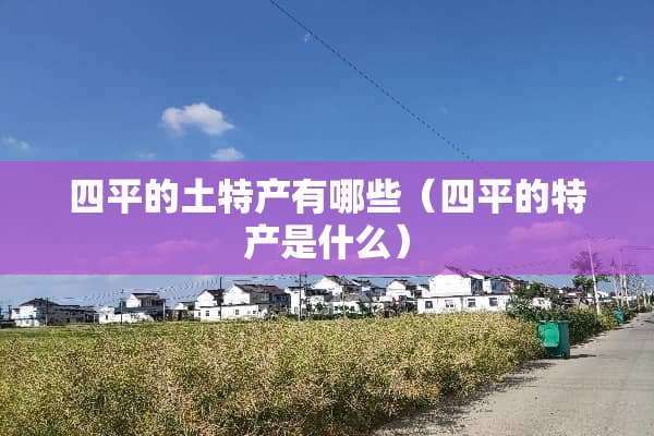四平的土特产有哪些（四平的特产是什么）