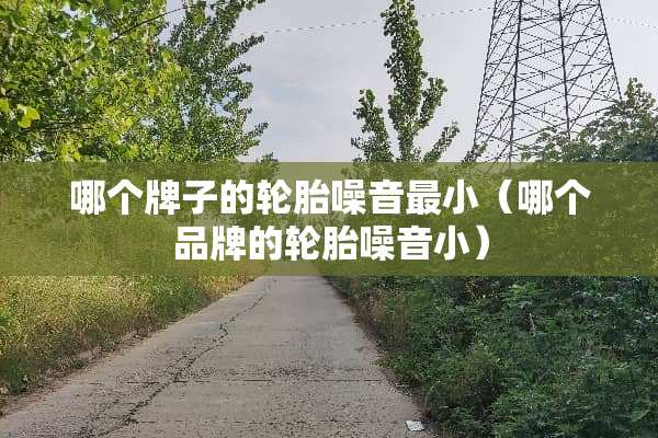 哪个牌子的轮胎噪音最小（哪个品牌的轮胎噪音小）