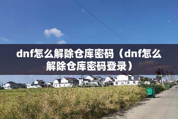 dnf怎么解除仓库密码（dnf怎么解除仓库密码登录）
