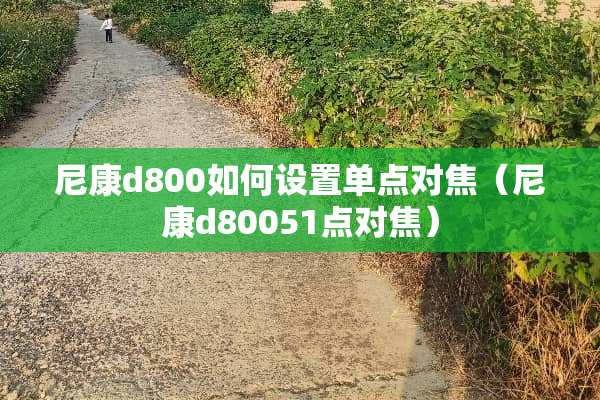 尼康d800如何设置单点对焦（尼康d80051点对焦）