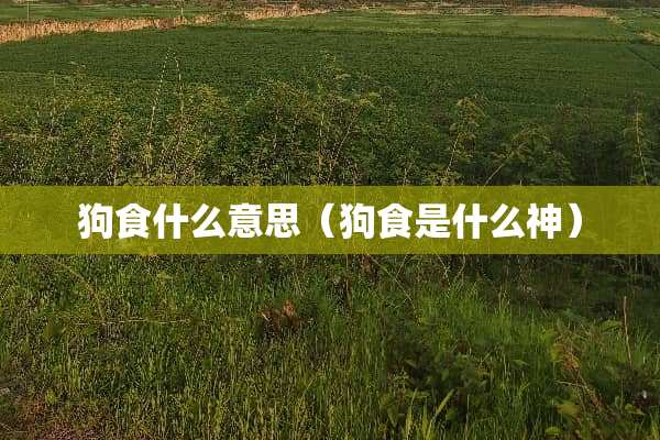狗食什么意思（狗食是什么神）