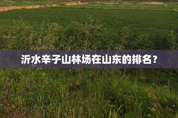 沂水辛子山林场在山东的排名？